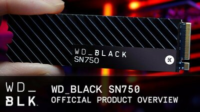 WD BLACK SN750 NVMe M.2 2280 500GB PCI-Express 3.0 x4 64-layer 3D NAND (SSD) w/ Heatsink